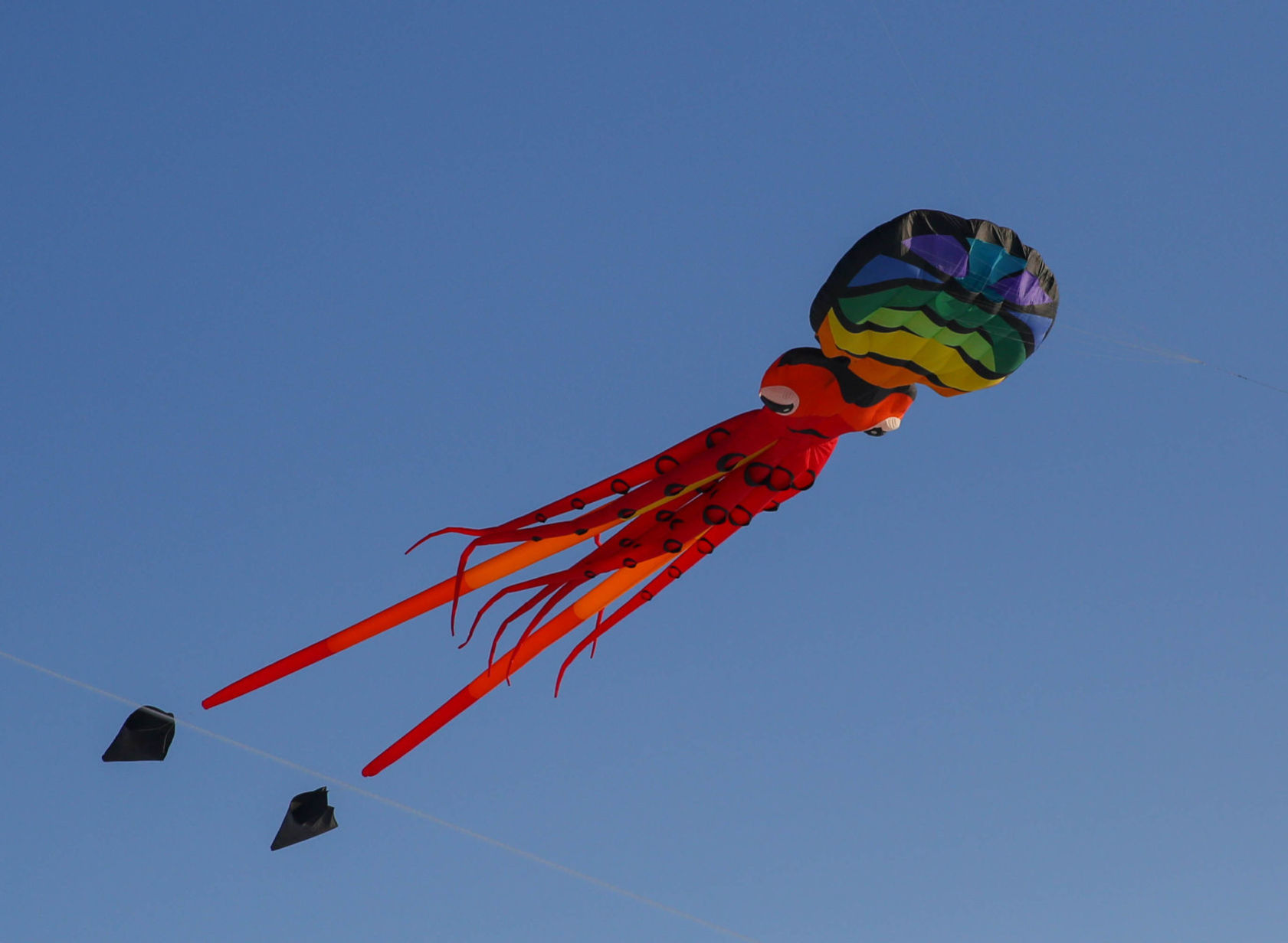 Color the Wind kite festival 02-15-2020 (82).jpg